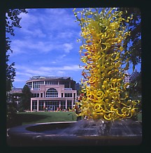 ChihulyExhibit