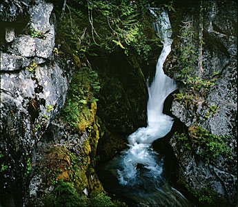 Christine Falls