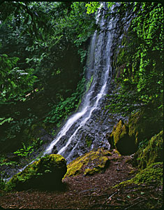 Silver Falls