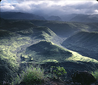 Misty Waimea Hills #3