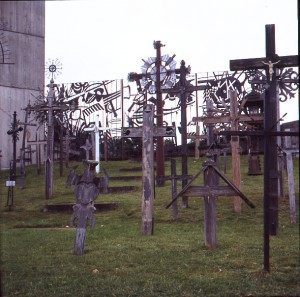 Sea of Crosses