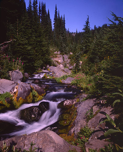 Mt Rainier Creek