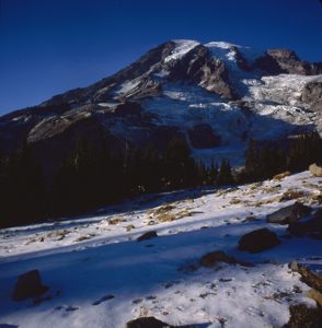 View of Mt Rainier