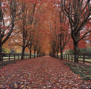 Rockwood Farm Entrance